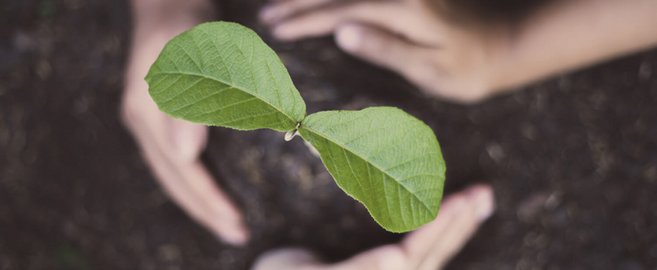 L’économie circulaire chez WEPA