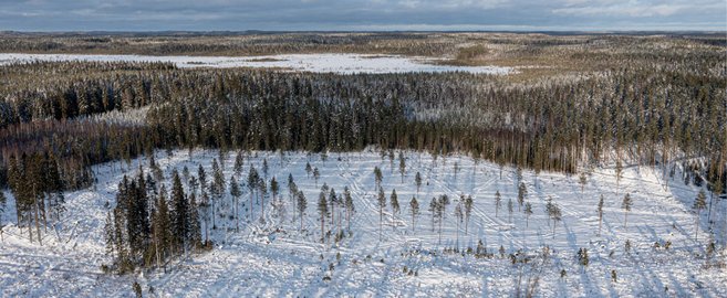 Update on our common peatland restoration project with UPM