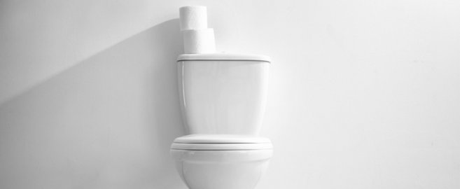 Toilet Talk! Where did it all come from?