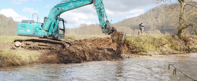 Ontketende natuur bij fabriek in Giershagen