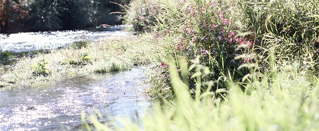 Die Bedeutung von Wasser für WEPA und die Wichtigkeit der World Water Week 