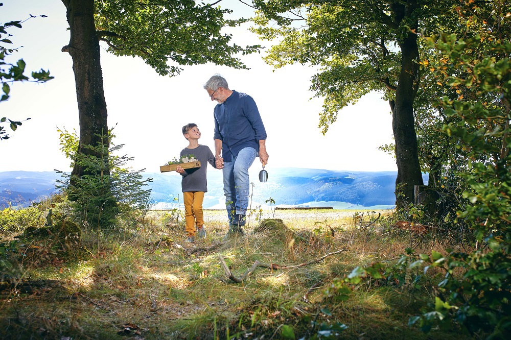 Giornata del bosco